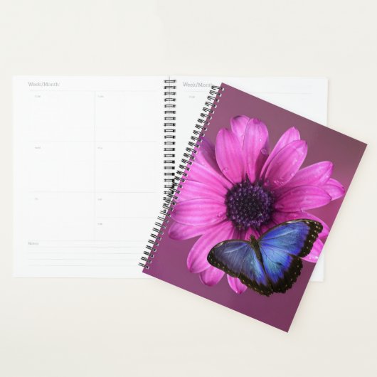 Daisy et Morpho (Devant avec enveloppe)