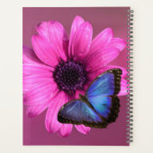 Daisy et Morpho (Dos)