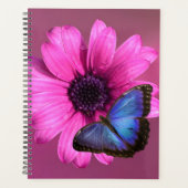 Daisy et Morpho (Devant)