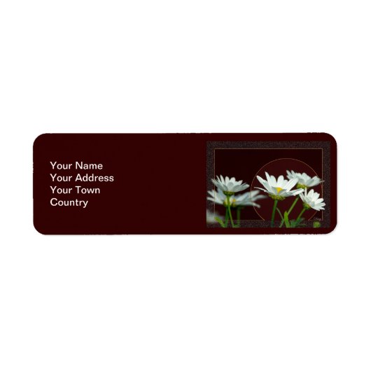 Daisy Etiket (Voorkant)