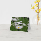 Daisy Field Card Kaart (Gele Bloem)