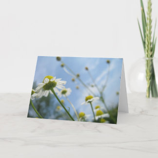 Daisy Field Stationary Notitiekaartje
