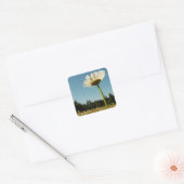 Daisy Field Sticker (Envelop)
