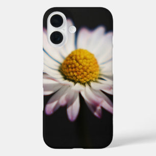 Daisy fiphcna iPhone 16 hoesje