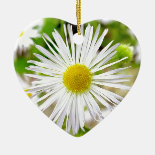 Daisy Fleabane Keramisch Ornament (Voorkant)