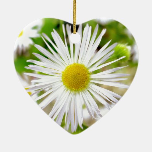 Daisy Fleabane Keramisch Ornament (Achterkant)