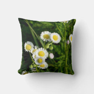 Daisy Fleabane Pillow Kussen