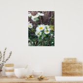 Daisy Fleabane Poster (Keuken)