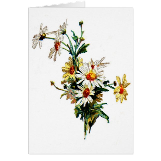 * Daisy* Flower Art (Voorkant)