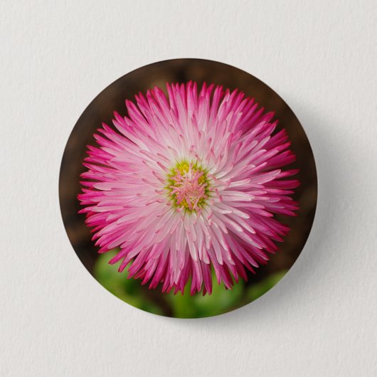 Daisy Flower - Button (Voorkant)