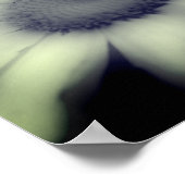Daisy Flower Close Black and White Poster (Hoek)