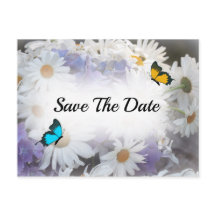 Daisy Flower Enregistrer La Date Carte Postale