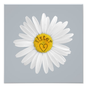 Daisy Flower for Sister Art past achtergrond aan Foto Afdruk