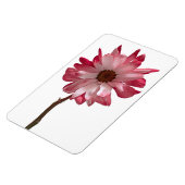 Daisy Flower fotomagneet Magneet (Linkerzijde)