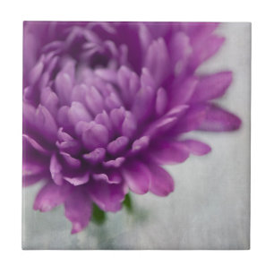 Daisy Flower keramische tegels in Paars en grijs Tegeltje