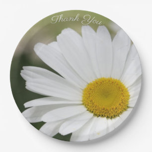 Daisy Flower Large Paper Bord
