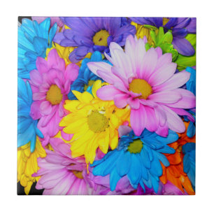 Daisy Flower Mix Tile Tegeltje