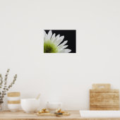 Daisy Flower on Black Poster (Keuken)