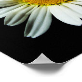 Daisy Flower Poster (Hoek)