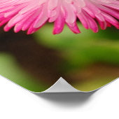 Daisy Flower - Poster (Coin)