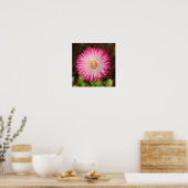 Daisy Flower - Poster (Cuisine)