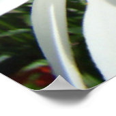 Daisy Flowers art prints White Daisies Blue Sky (Hoek)