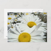 Daisy Flowers briefkaarten toevoegen Jouw tekst Da (Voorkant / Achterkant)