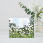 Daisy Flowers DIY Briefkaart (Staand voorkant)