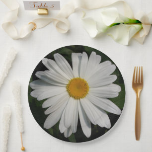 Daisy Flowers Fotografie Kunst Papieren Bordje