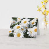 Daisy Flowers Growing White Kaart (Gele Bloem)