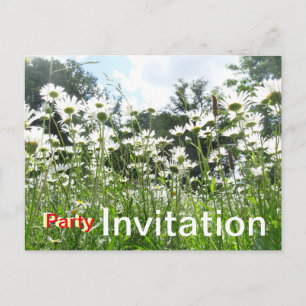 Daisy Flowers Party Invitation Briefkaart
