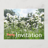 Daisy Flowers Party Invitation Briefkaart (Voorkant)