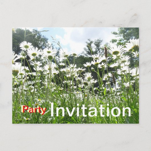 Daisy Flowers Party Invitation Briefkaart (Voorkant)