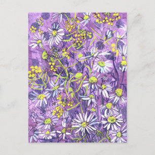 Daisy Flowers Polka Dot Zomer Bloemen Bloemen Bloe Briefkaart