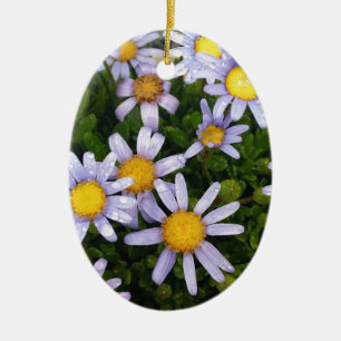 Daisy Flowers, White Yellow Flower, Natuur Daisies Keramisch Ornament