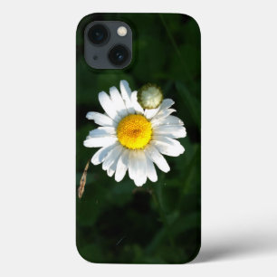 Daisy Foto iPhone 6/6s, Tough Xtreme iPhone 13 Hoesje