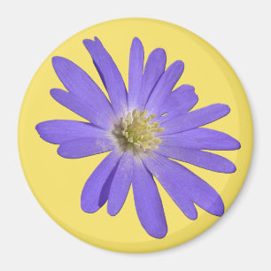 Daisy Fridge Magnet Blue Flower Daisy Gifts Magneet