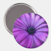 Daisy Frigo Magnet Blue Flower Daisy Cadeaux (Recto/Verso)