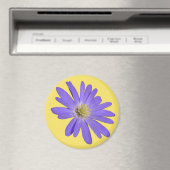 Daisy Frigo Magnet Blue Flower Daisy Cadeaux (In Situ (Lave-vaisselle))