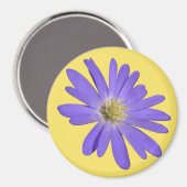 Daisy Frigo Magnet Blue Flower Daisy Cadeaux (Recto/Verso)
