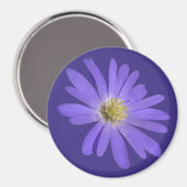 Daisy Frigo Magnet Blue Flower Daisy Cadeaux (Recto/Verso)