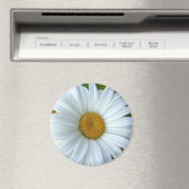 Daisy Frigo Magnet Fleur joyeuse Daisy Daisy Cadea (In Situ (Lave-vaisselle))