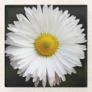 Daisy Glazen Onderzetter