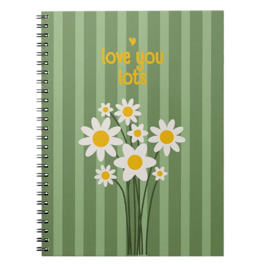 DAISY GREEN - Daisy Cahier Beaucoup d'Amour (Devant)