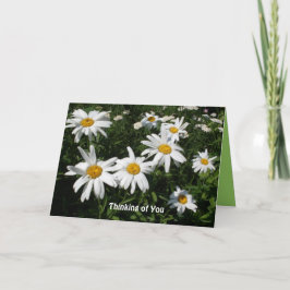Daisy Happy Kaart