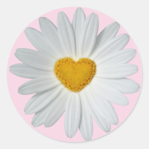 Daisy Heart Ronde Sticker