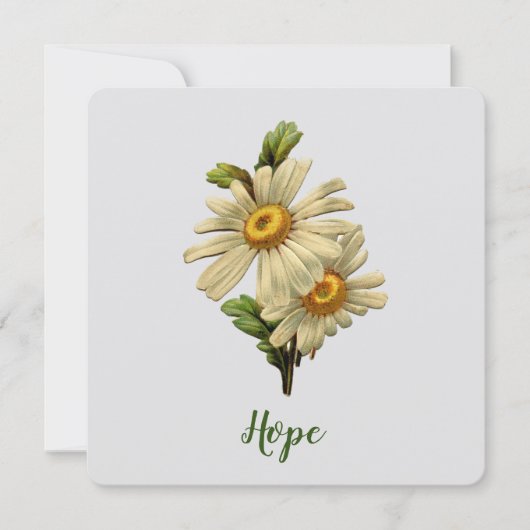 Daisy Hope Inspirerend (Voorkant)