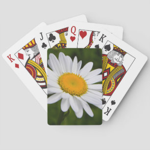 Daisy in Bloom Speelkaarten