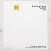 Daisy in de regen briefhoofd ontwerp (Voorkant / Achterkant)