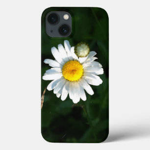 Daisy iPhone 6/6s, stoere Xtreme 13 Hoesje